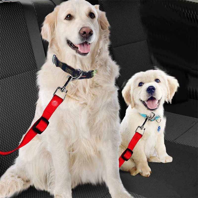 Pet Car Seat Belt