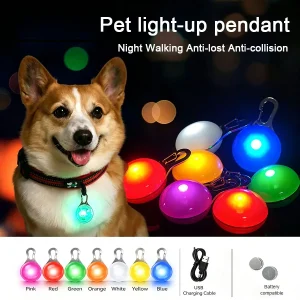 Rechargeable LED Pendant Dog Collar Necklace