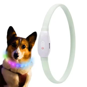 Light Up LED Dog Collar with 9 Flashing Modes