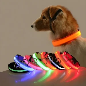 LED Luminous Dog Collar