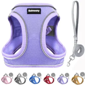 Sparkly Medium Dog Harness and Leash Set