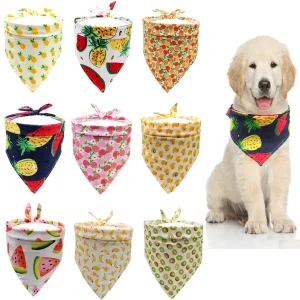 Fruit Print Dog Scarf